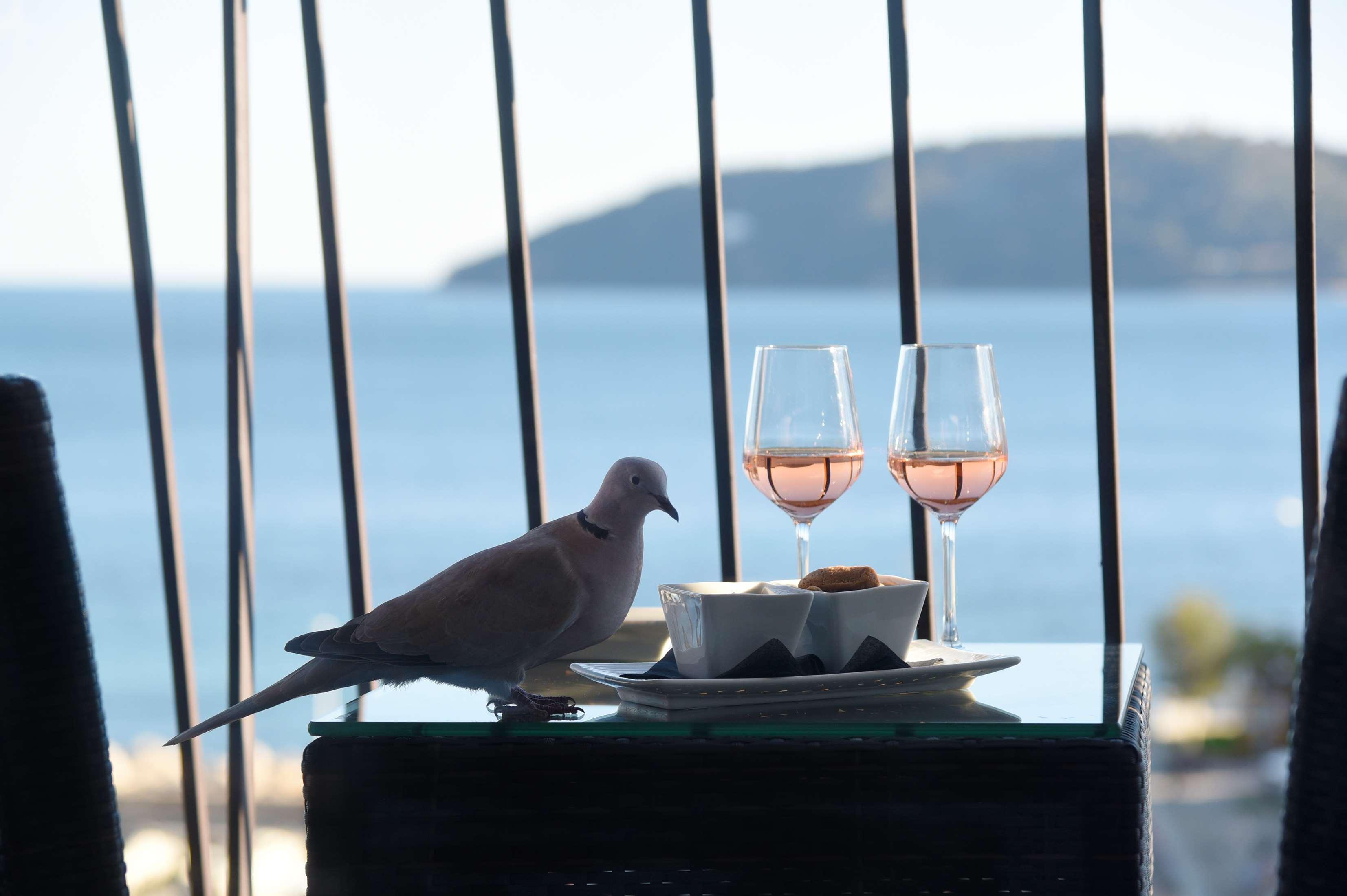 Best Western Plus La Corniche Toulon Ngoại thất bức ảnh